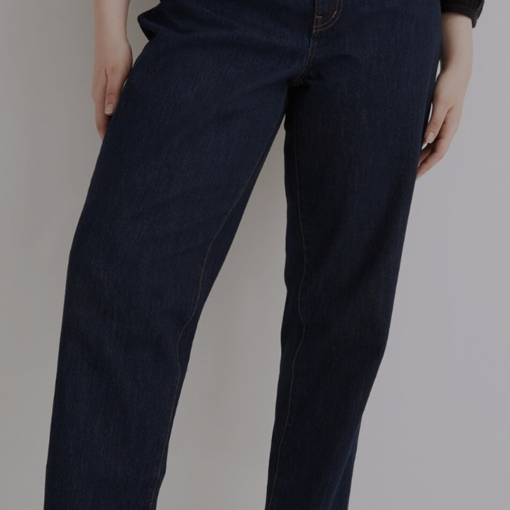 Madewell Baggy Tapered Dressler Wash Jeans Sz 31